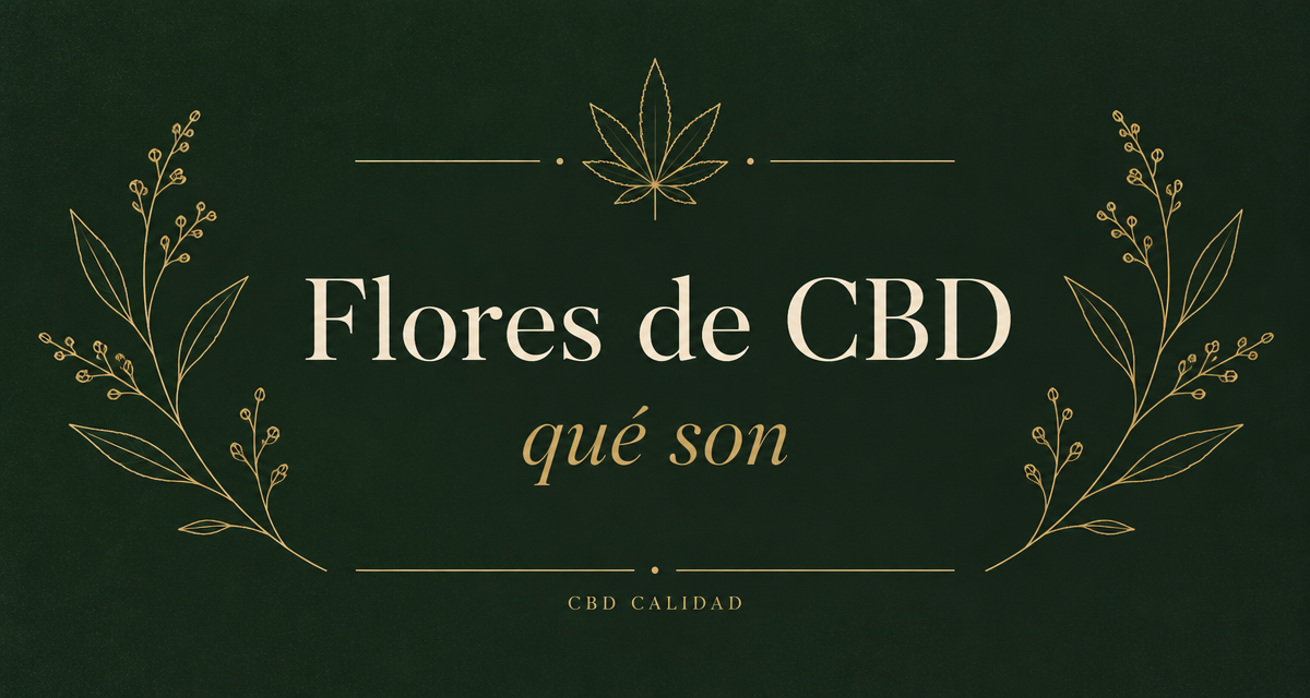 Flores de CBD: qué son, por qué son legales en España y cómo se usan